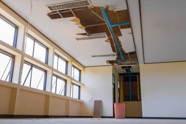 Reliable Calcutta, OH Water damage restoration Solutions