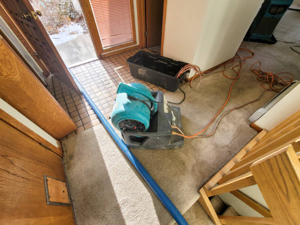 Best Ceiling water damage repair  in Calcutta, OH