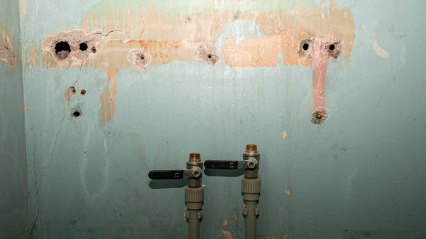  Calcutta, OH Water damage restoration Pros
