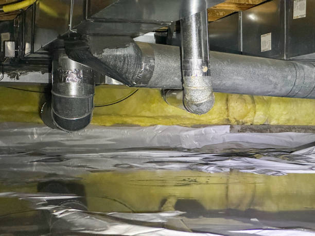 Best 24/7 water damage repair  in Calcutta, OH