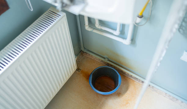 Best Carpet water damage restoration  in Calcutta, OH