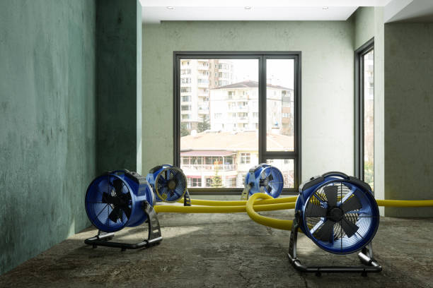 Water damage restoration process in Calcutta, OH